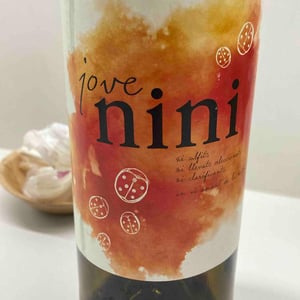 Jove Nini - Terres De L’ebre - barret-submergit -2022