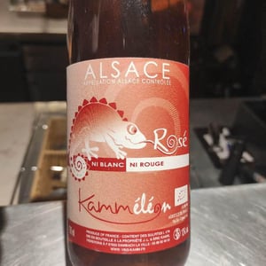 Kammeleon - Jean-Louis & Éric Kamm - eric-kamm