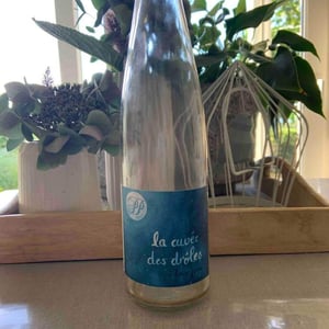 La Cuvée Des Drôles - Domaine Du Petit Paris - blandine-geneste-bastien-morize