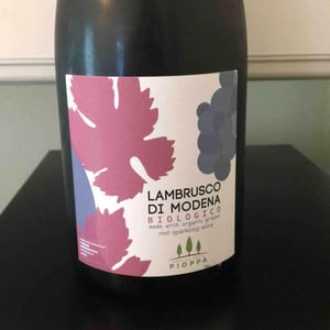 Lambrusco Di Modena - Fabulas - camillo-zulli