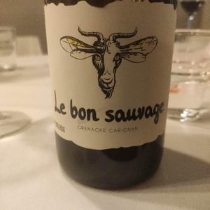 Le Bon Sauvage - Domaine Boucabeille - Jean Boucabeille