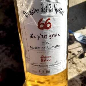 Le P'tit Grain - Domaine des Balmettes - lucien-salani