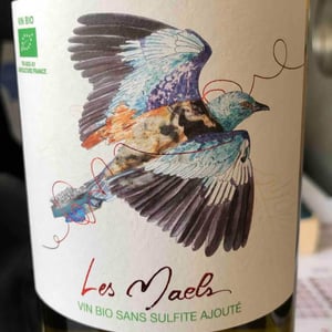 Les Maels - Les Maels - morgane-et-frederic-schwertz -2021