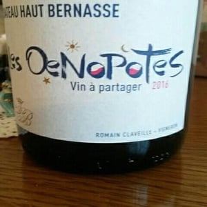 Les Oenopotes - Château haut bernasse - romain-claveille