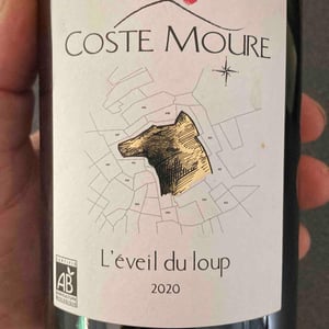 L’eveil Du Loup - Coste Moure - mickael-fabre-eudes-gerardin-romaintissier -2020