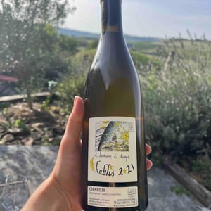 L’humeur du 2021 - Alice & Olivier De Moor - Alice & Olivier De Moor