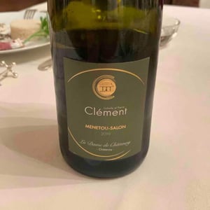 Menetou Salon - La Dame de Onze Heures - antoine-van-remoortere -2019