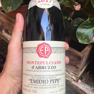 Montepulciano D’Abruzzo 17