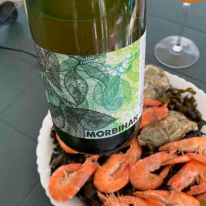 Morbihan - La Ferme de Port Coustic - mathieu-le-saux-noemie-vallelian -2020