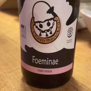 Na - Fabulas - camillo-zulli -2022