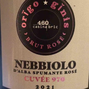 Nebbiolo D’Alba Origo-Ginis Rosé Cuvée - 460 Casina Bric - gianluca-viberti -2021