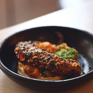 Octopus - Hambrë - 493755