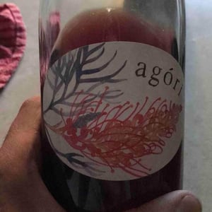 Agori - South Australia - travis-tausend