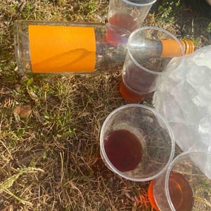 Pálava/ Tramín - Velkeer - velkeer -2021