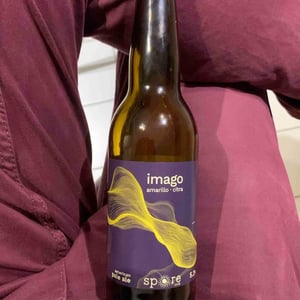 pale ale tip top, rappel l’ipa un peu acide - 