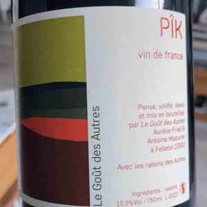 Pik - Le goût des autres - Aurélie Fried & Antoine Mazurier -2023