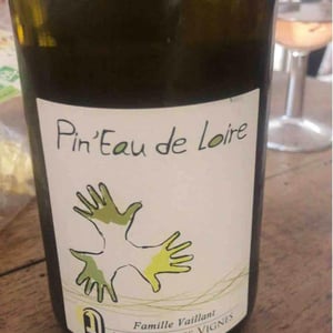 Pin'eau de la Loire - Les Grandes Vignes - laurence-dominique-jean-francois-vaillant