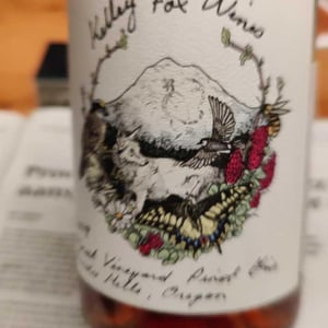 Pinot Gris - Kelley Fox Wines - Kelley Fox