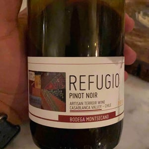 Refugio - Casablanca Valley - bodega-montescano