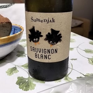Sauvignon blanc - Podravje - srecko-sumenjak -2020