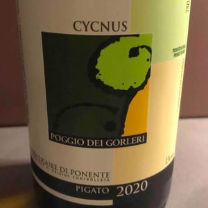 Cycnus - Poggio Dei Gorleri - diano-marina