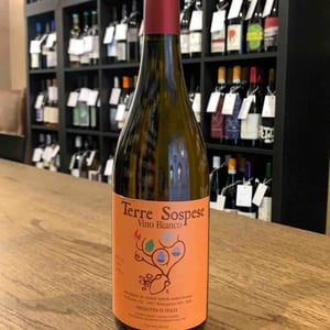 Terre Sospese - Terre Sospese - andrea-pecunia