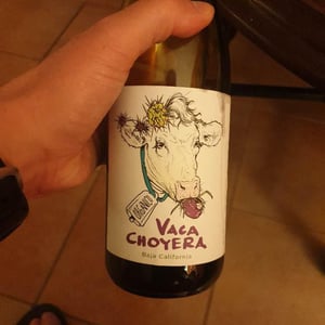 Viñas del Tigre 2021 - Viñas del Tigre - Viñas del Tigre -2021