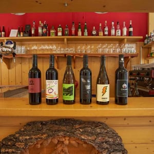 Vini artigianali di Veneto e Alto Adige - 