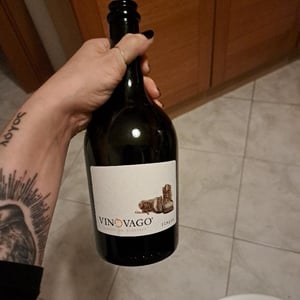 Vinovago - Vino vago - idea-e-concetto