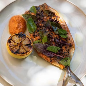 Whole Grilled Mackerel, Charred Lemon, Harissa - Gallifet - 506904