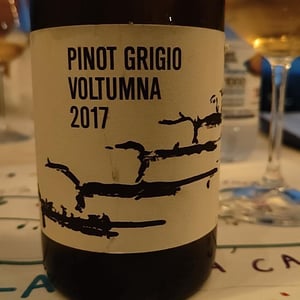 ZENO - Voltumna - Marzio Politi -2017