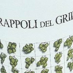 Grappoli Del Grillo - Marco De Bartoli - marco-de-bartoli