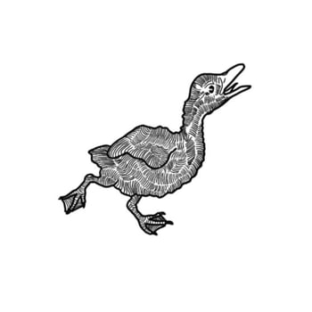 Ugly Duckling