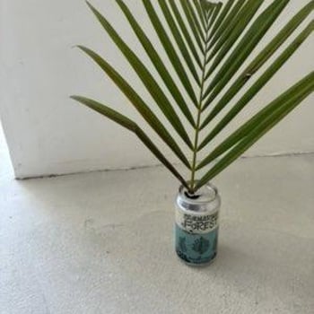 oceankai