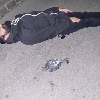 Marcovieltuttoattaccato