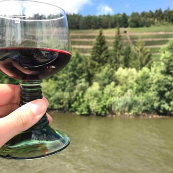 Der Gute Wein Distribucions