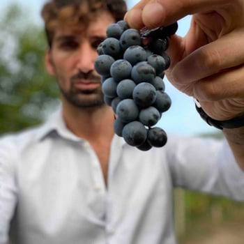 nellogatti