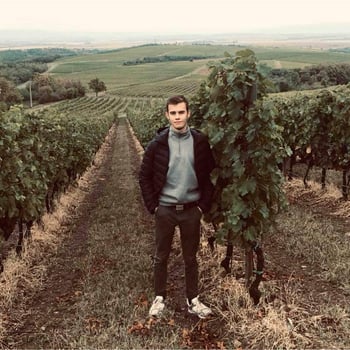 vin_et_pierre