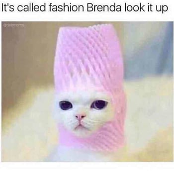 xenia