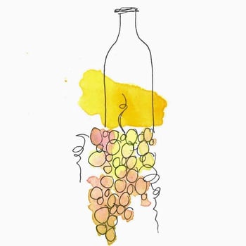 Natural Wine Importers