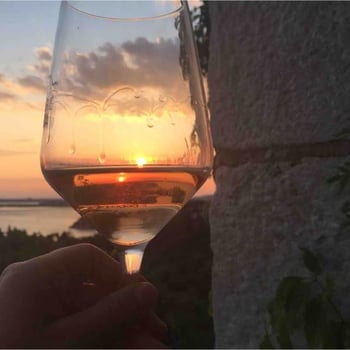 natureismywine