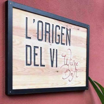 origendelvi
