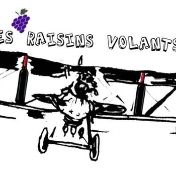raisinsvolants