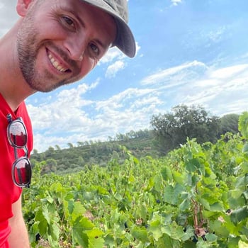 Belyrfe