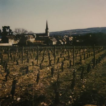 MatLen