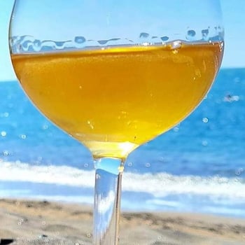 Vins