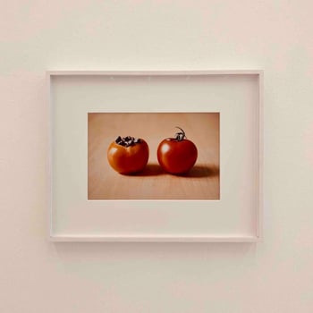 matteo_piccioni_82