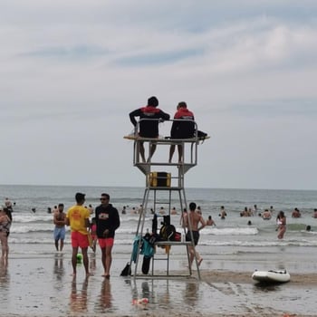sanscarabistouilles