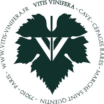 vitis-vinifera