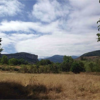 Compañia de Vinos La Tintorera